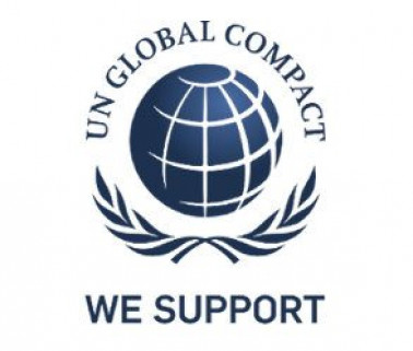 UN global compact logo